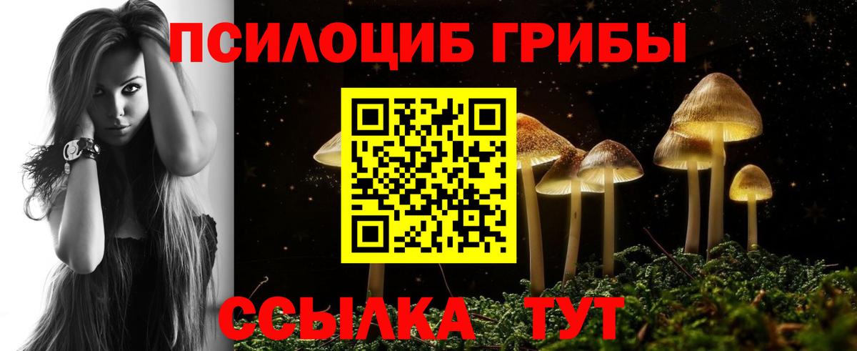 Галлюциногенные грибы прущие грибы Кунгур