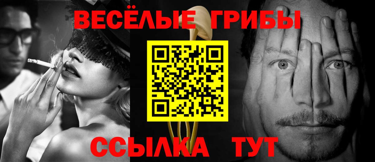Кунгур  Псилоцибиновые грибы Psilocybe  Вход с VPN  Галлюциногенные грибы Magic Shrooms 