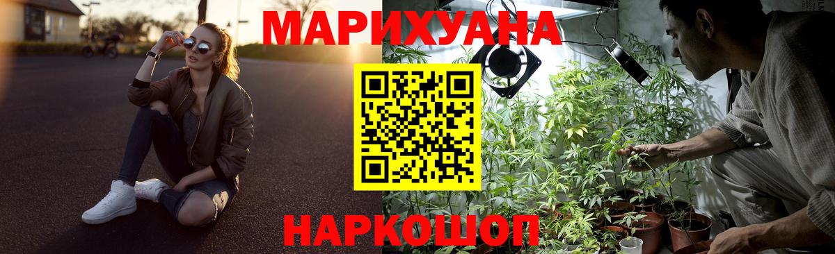 Каннабис план  Конопля сатива  Шишки марихуана марихуана  Кунгур  Вход с VPN 